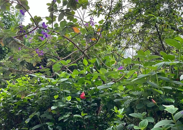 Milemeleni Guesthouse
