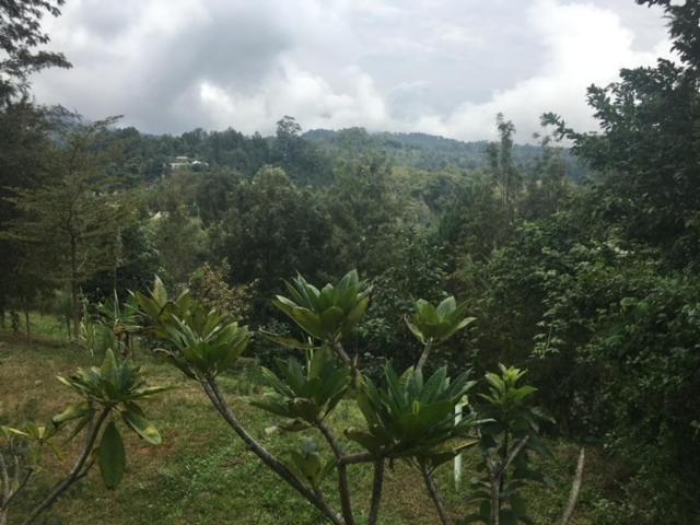 Milemeleni *